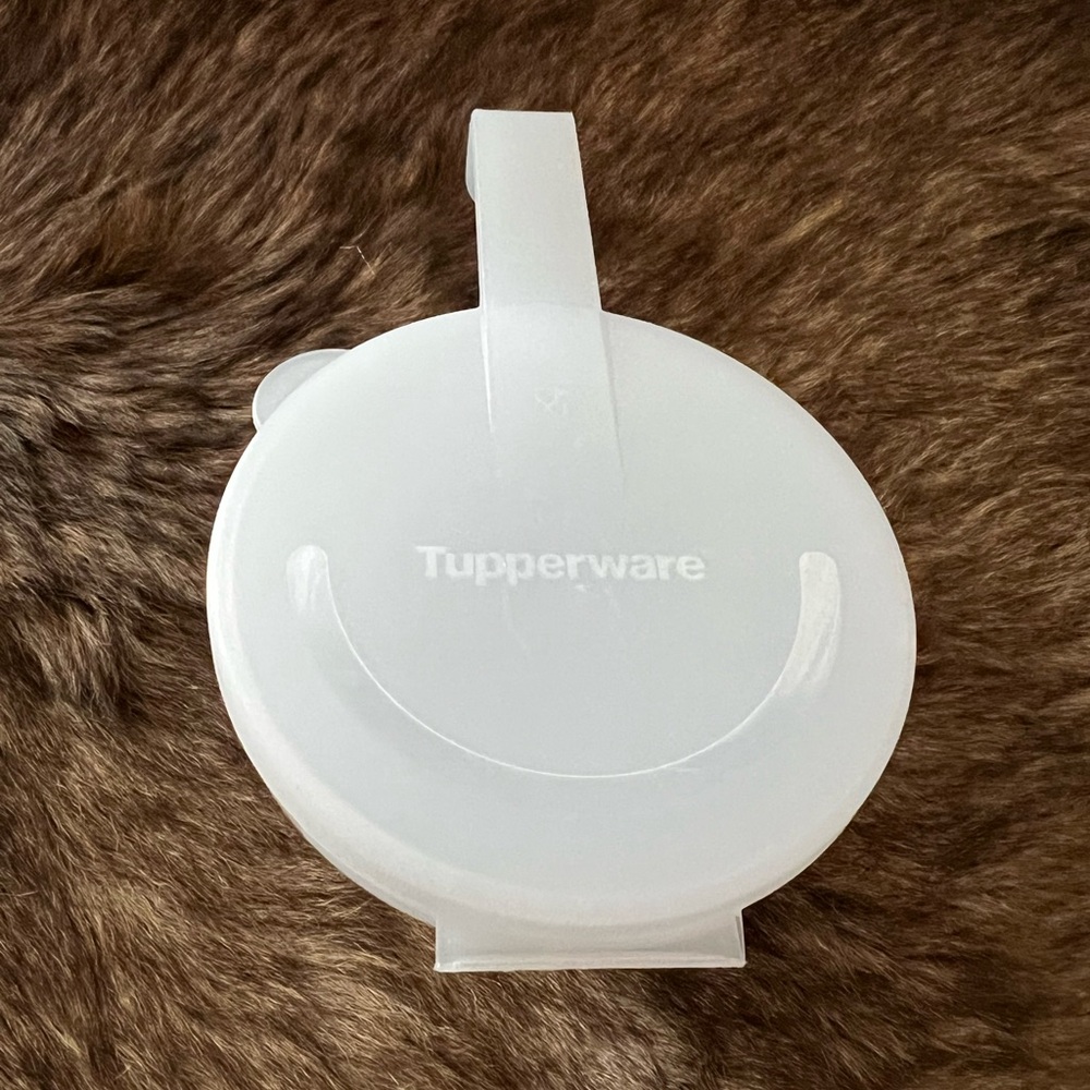 Tupperware Forget-Me-Not Hanging Fridge Container – White – Preloved